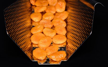 ITECH Trockenfrüchte Aprikosen / ITECH Dry food Apricot / ITECH Frutta secca albicocche